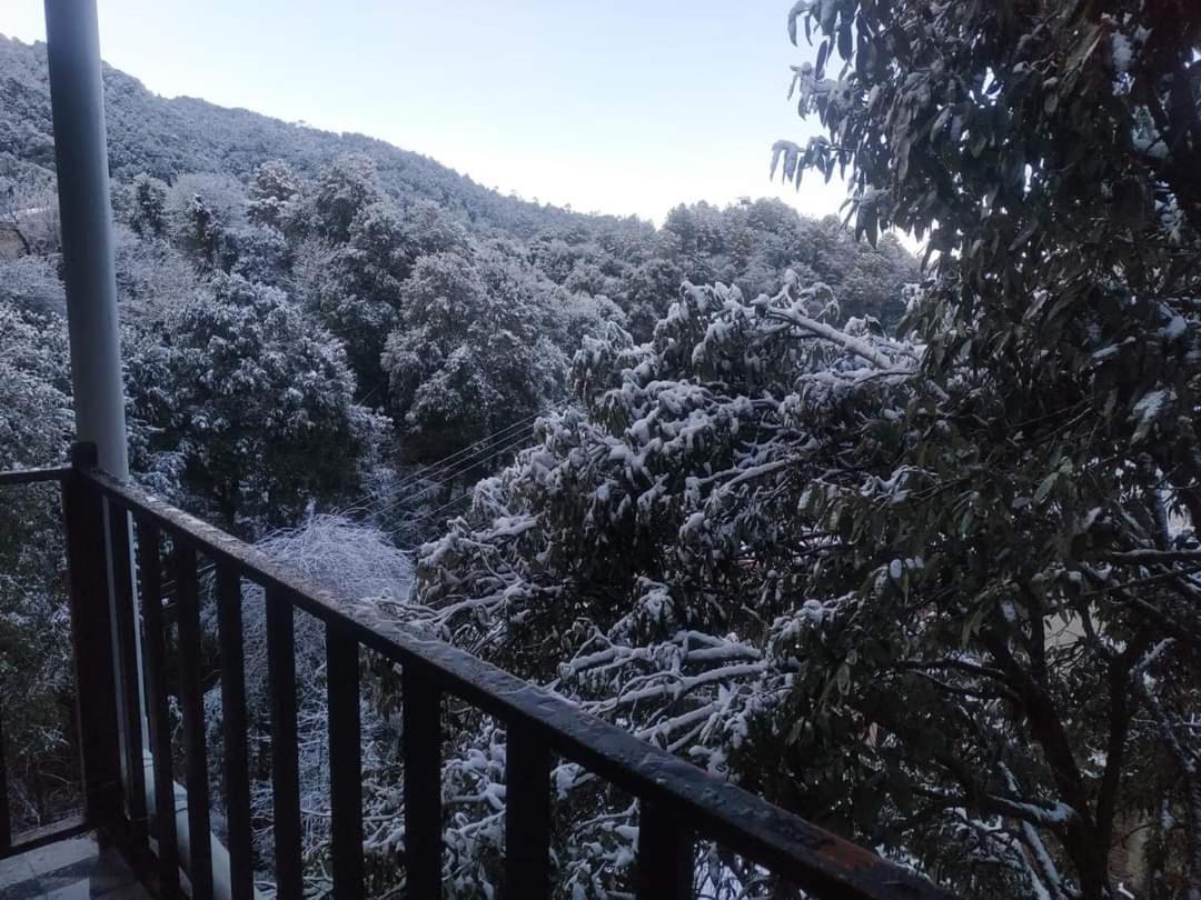 Oak Wood Homestay Banikhet Dalhousie Kültér fotó